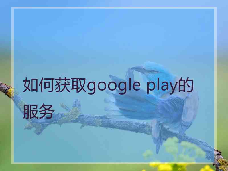 如何获取google play的服务