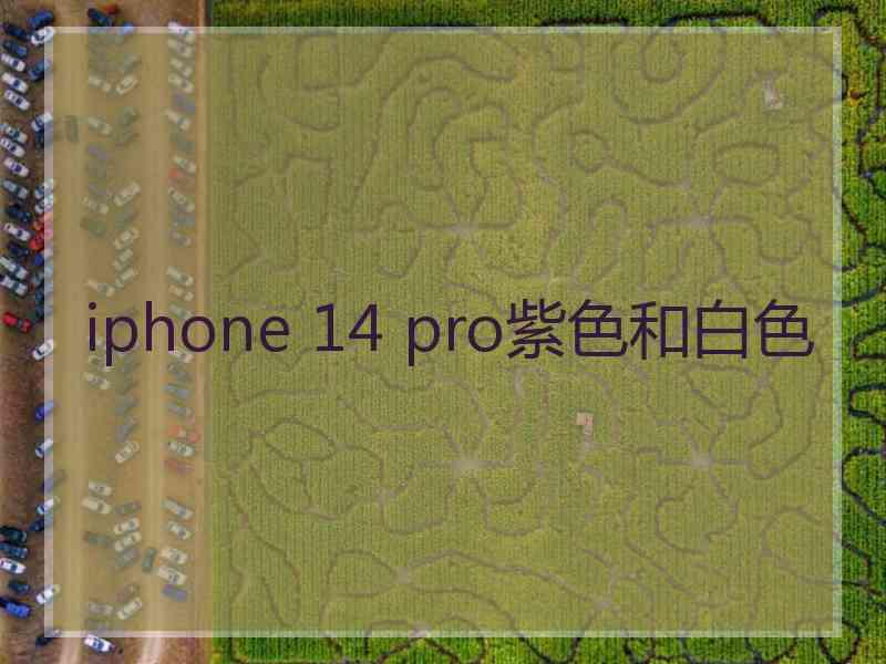 iphone 14 pro紫色和白色