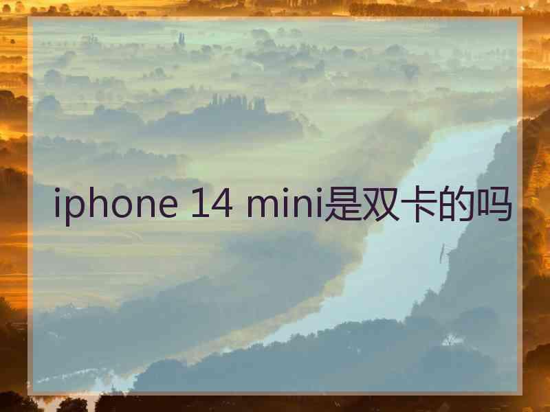 iphone 14 mini是双卡的吗