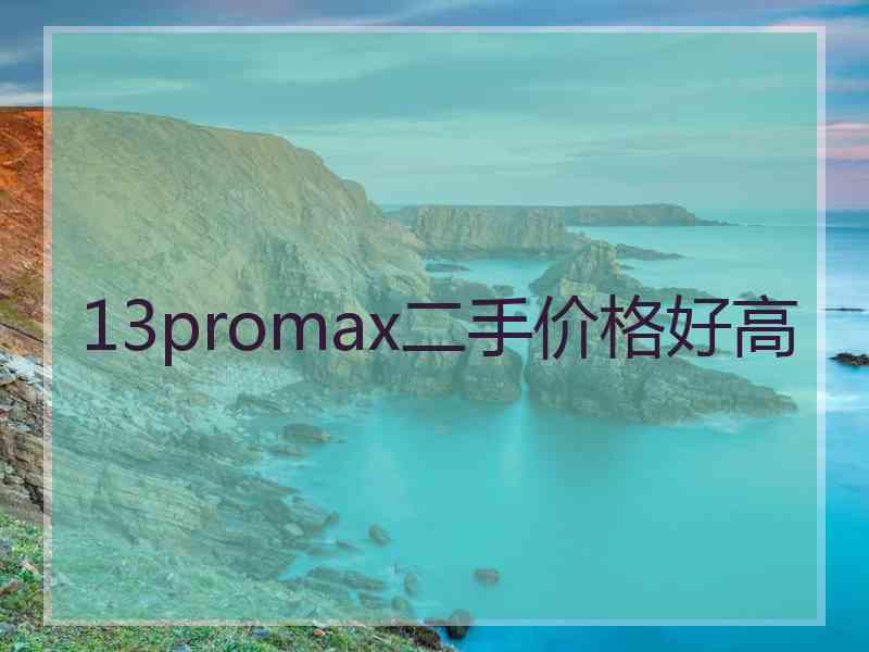 13promax二手价格好高