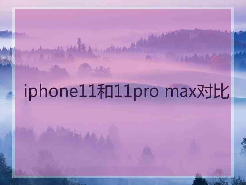 iphone11和11pro max对比