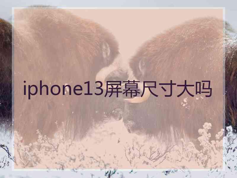 iphone13屏幕尺寸大吗