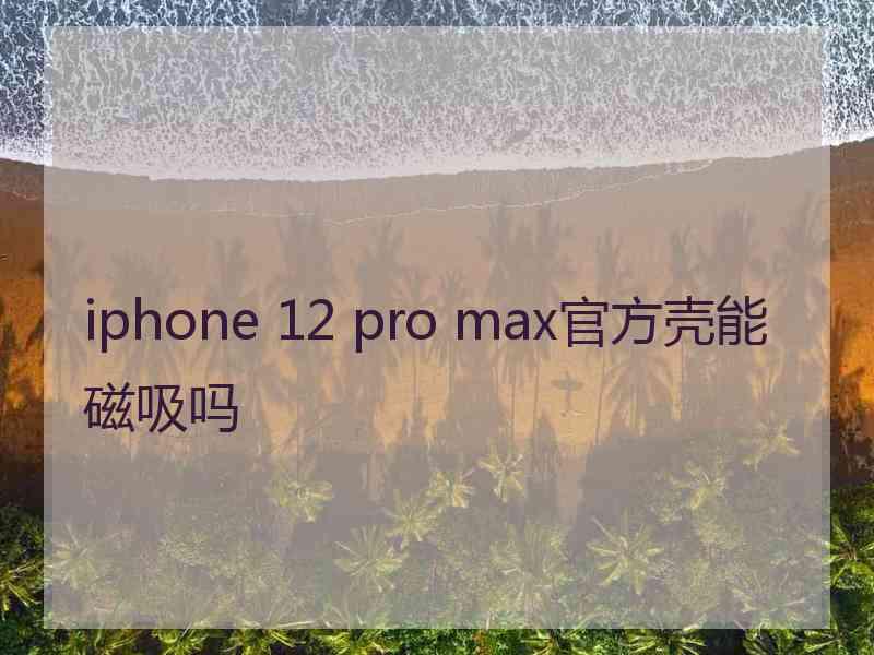 iphone 12 pro max官方壳能磁吸吗