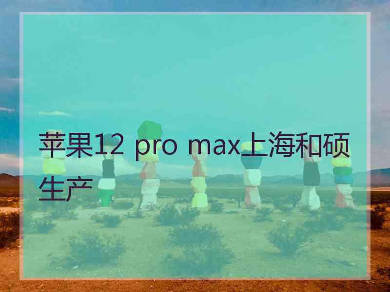 苹果12 pro max上海和硕生产