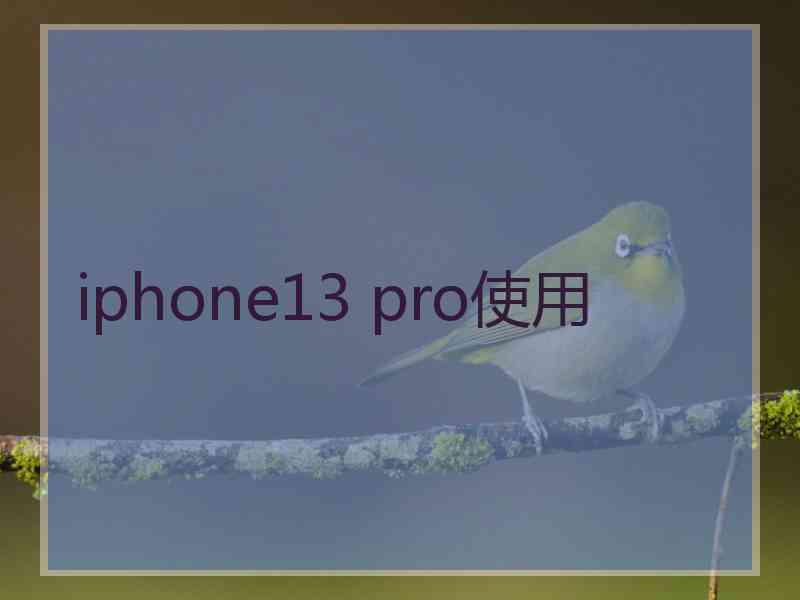 iphone13 pro使用