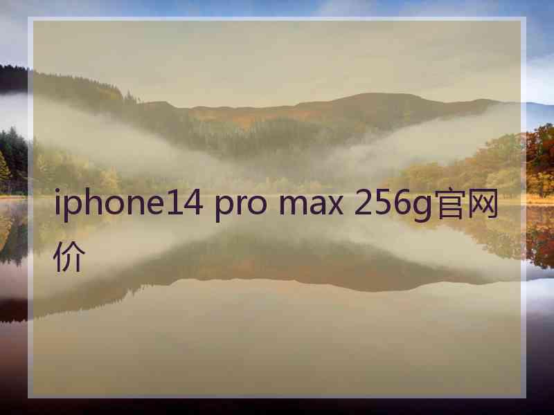 iphone14 pro max 256g官网价