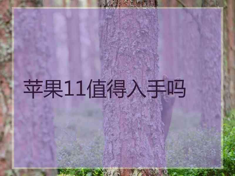 苹果11值得入手吗