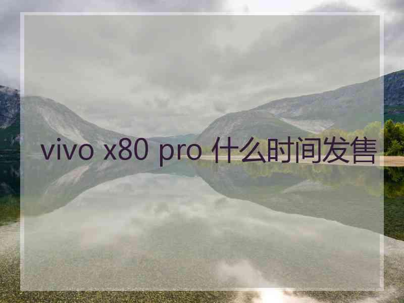 vivo x80 pro 什么时间发售