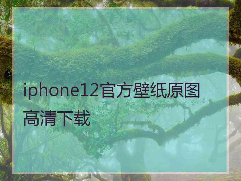 iphone12官方壁纸原图高清下载