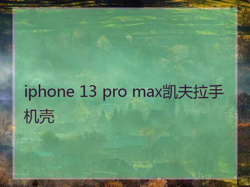 iphone 13 pro max凯夫拉手机壳