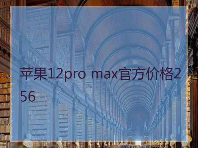 苹果12pro max官方价格256