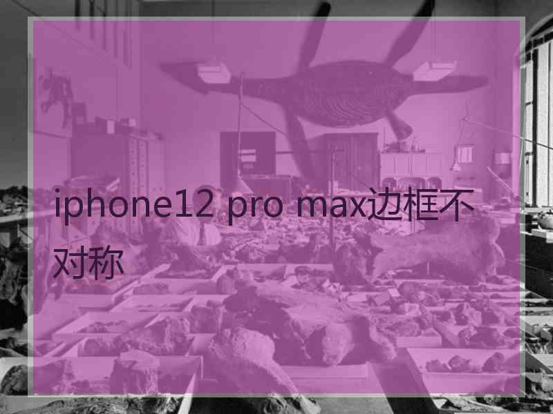 iphone12 pro max边框不对称