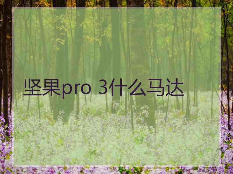 坚果pro 3什么马达