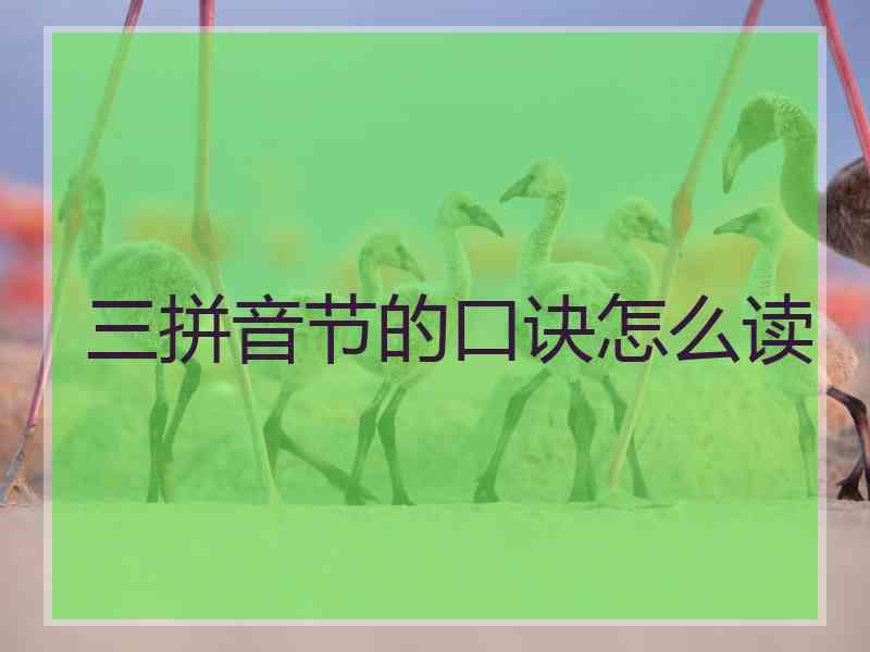 三拼音节的口诀怎么读