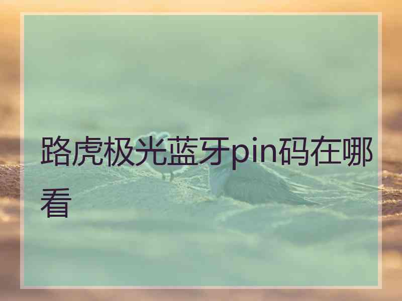 路虎极光蓝牙pin码在哪看