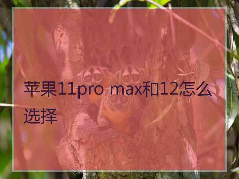 苹果11pro max和12怎么选择