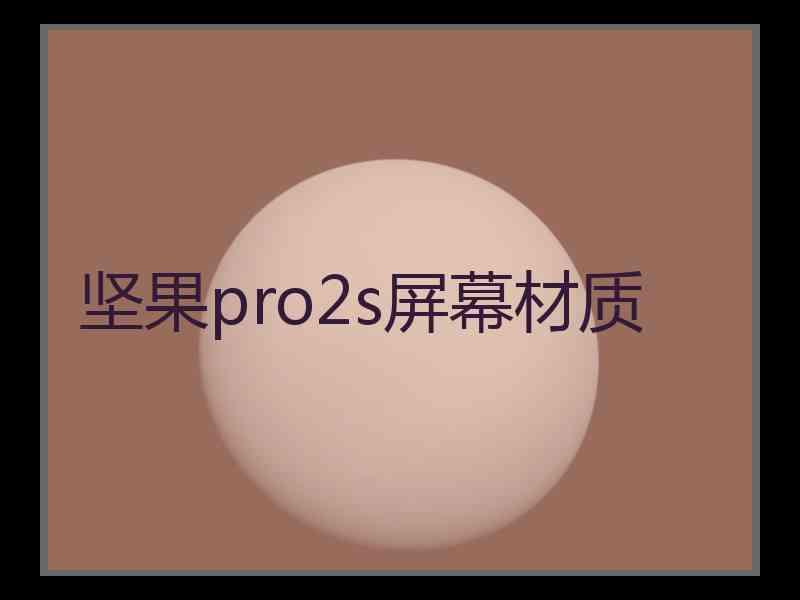 坚果pro2s屏幕材质