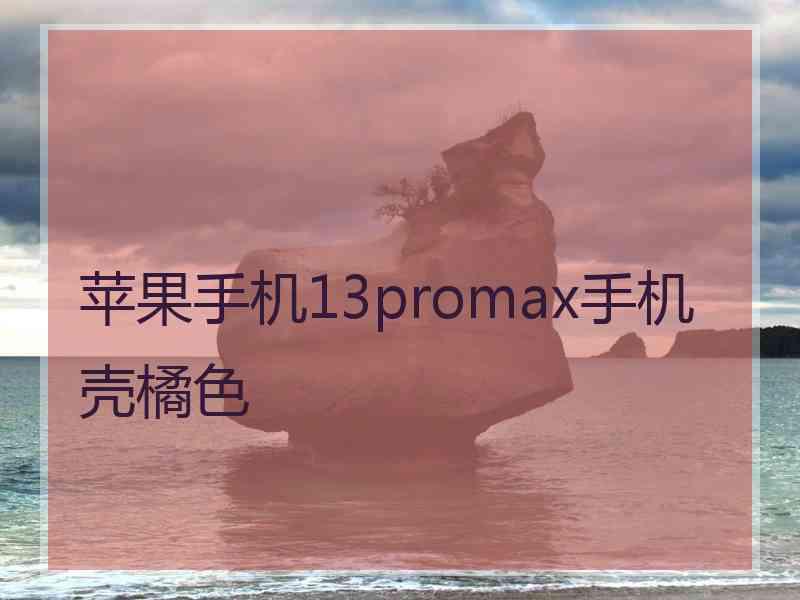 苹果手机13promax手机壳橘色