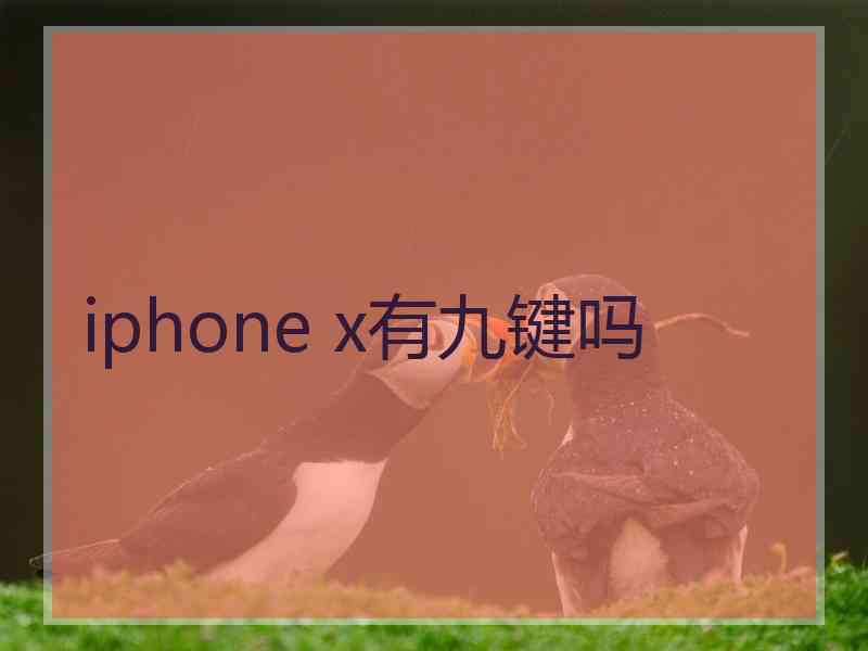 iphone x有九键吗