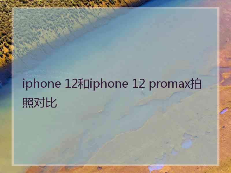 iphone 12和iphone 12 promax拍照对比