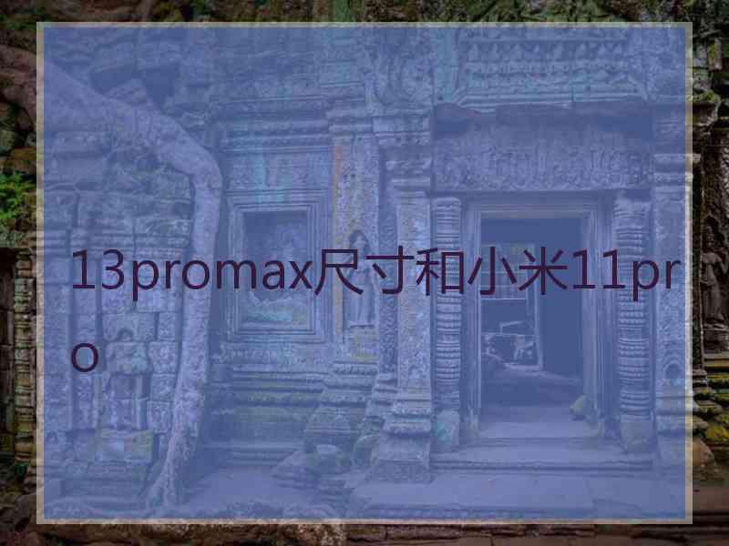 13promax尺寸和小米11pro