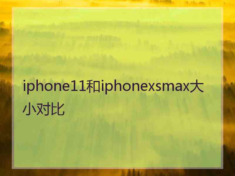 iphone11和iphonexsmax大小对比