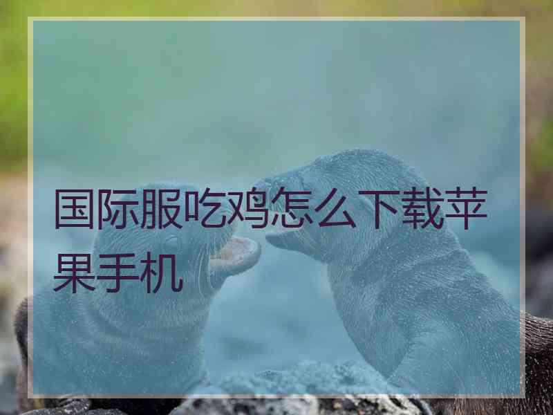 国际服吃鸡怎么下载苹果手机
