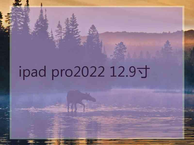 ipad pro2022 12.9寸