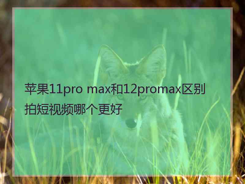 苹果11pro max和12promax区别拍短视频哪个更好