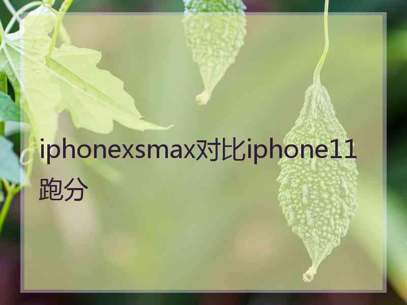 iphonexsmax对比iphone11跑分