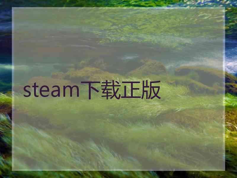 steam下载正版