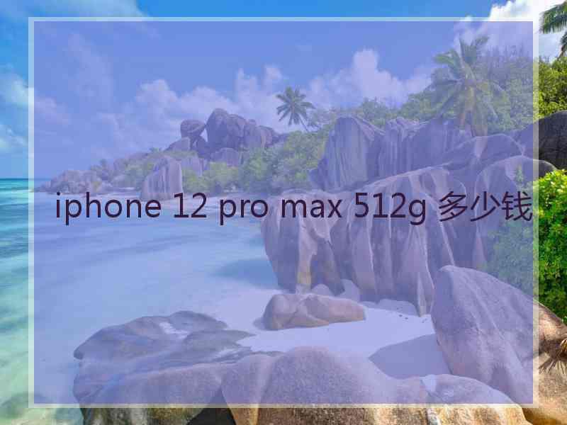 iphone 12 pro max 512g 多少钱