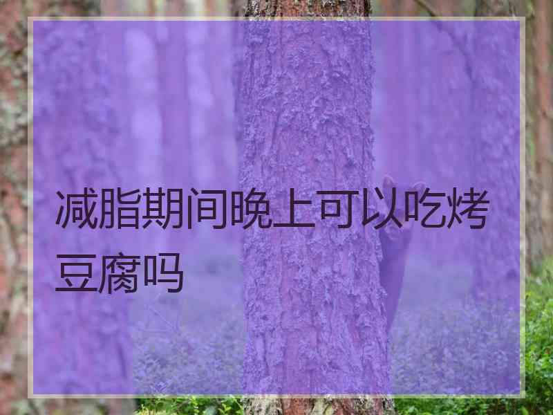 减脂期间晚上可以吃烤豆腐吗