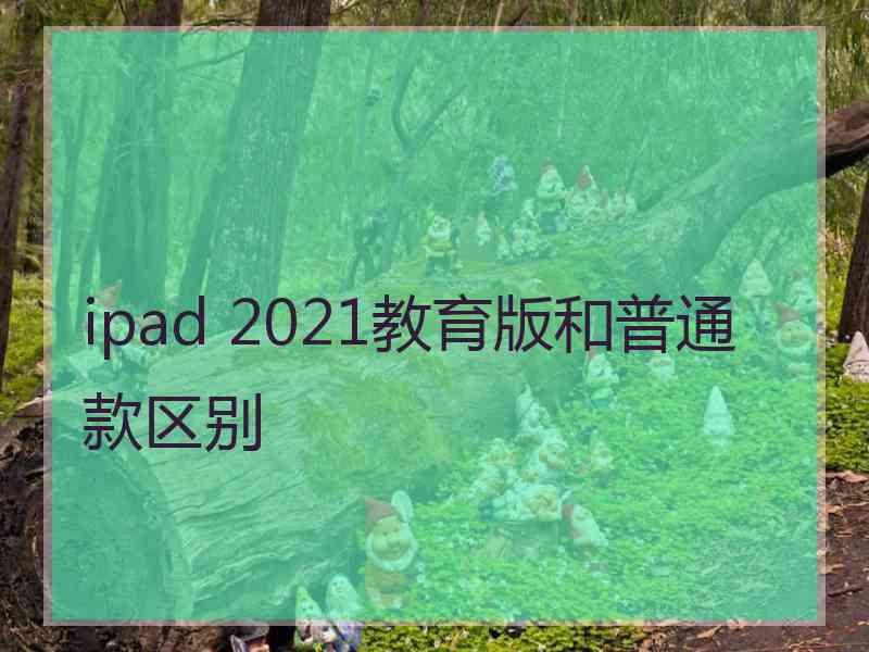 ipad 2021教育版和普通款区别