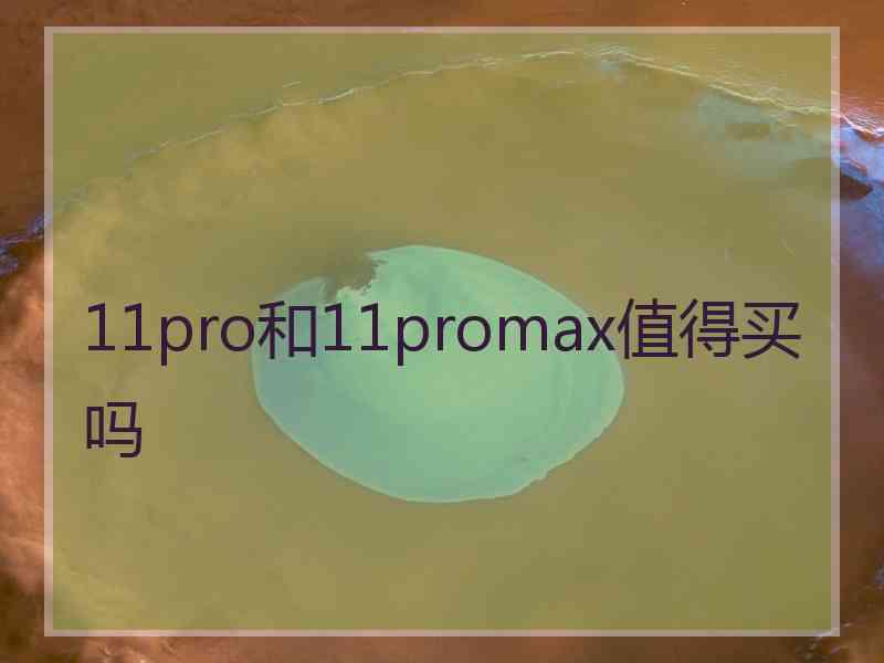 11pro和11promax值得买吗