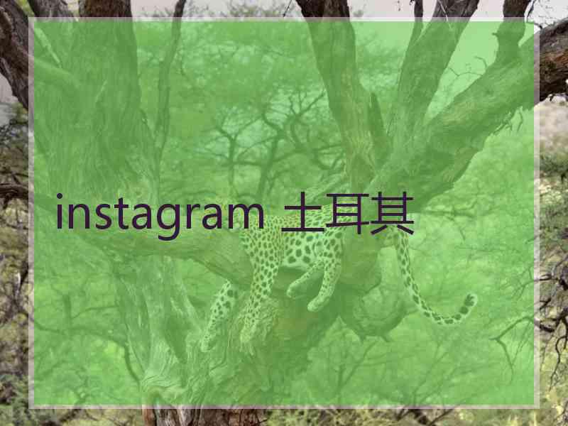 instagram 土耳其