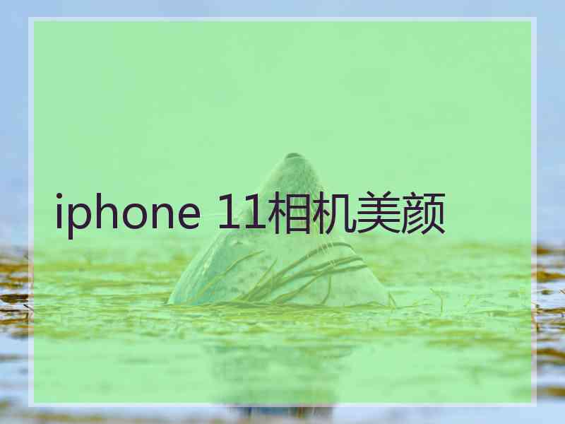 iphone 11相机美颜