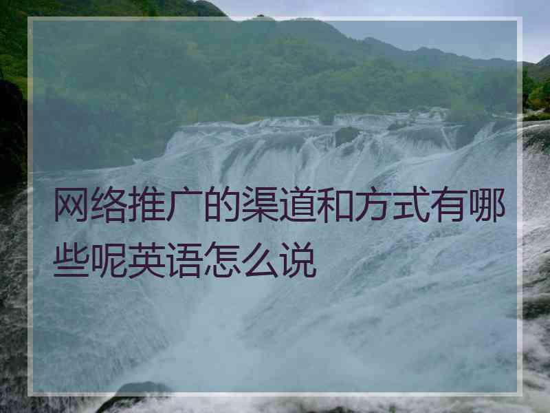 网络推广的渠道和方式有哪些呢英语怎么说