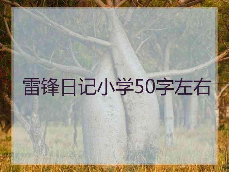 雷锋日记小学50字左右