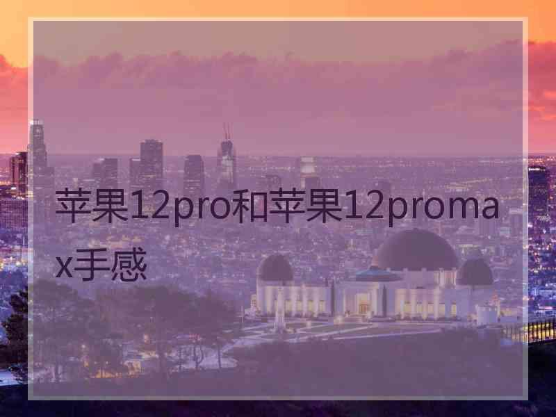 苹果12pro和苹果12promax手感