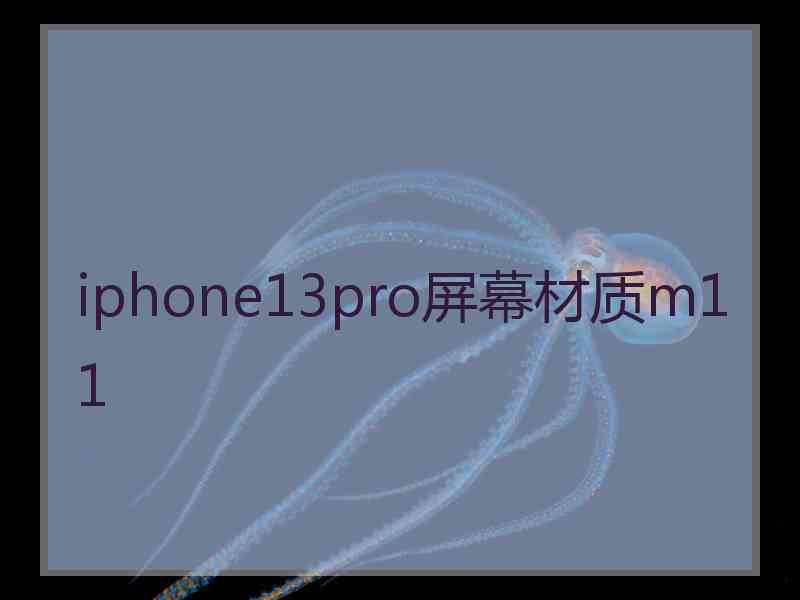 iphone13pro屏幕材质m11