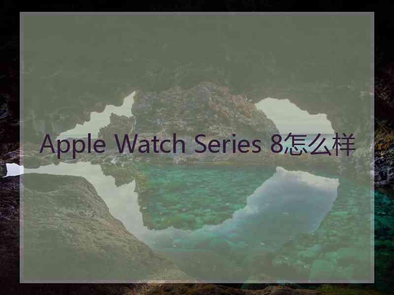 Apple Watch Series 8怎么样