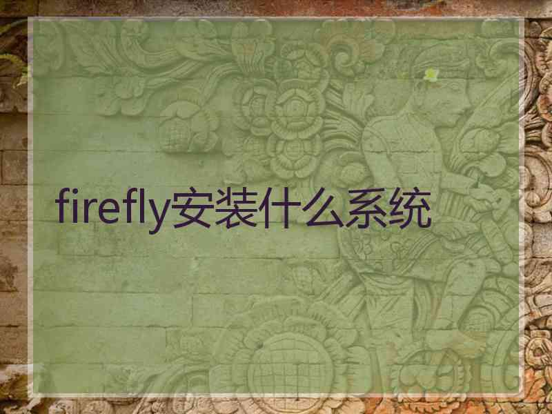 firefly安装什么系统