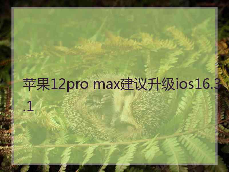 苹果12pro max建议升级ios16.3.1