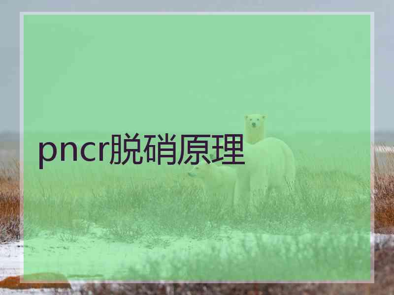 pncr脱硝原理