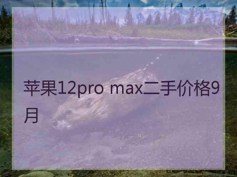 苹果12pro max二手价格9月