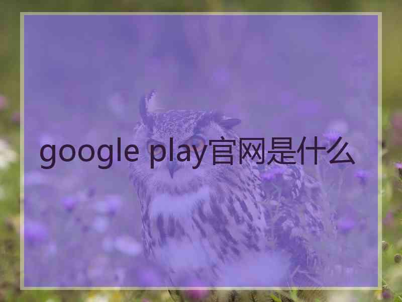 google play官网是什么