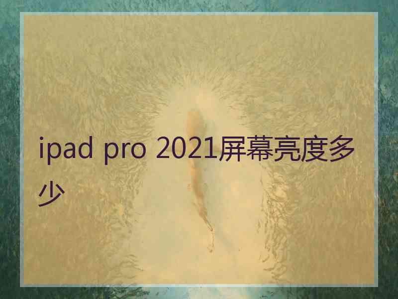 ipad pro 2021屏幕亮度多少