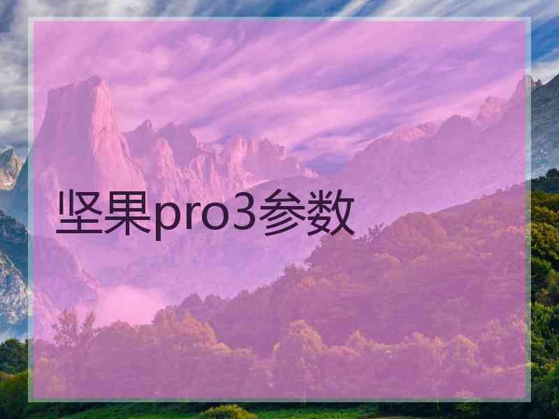 坚果pro3参数