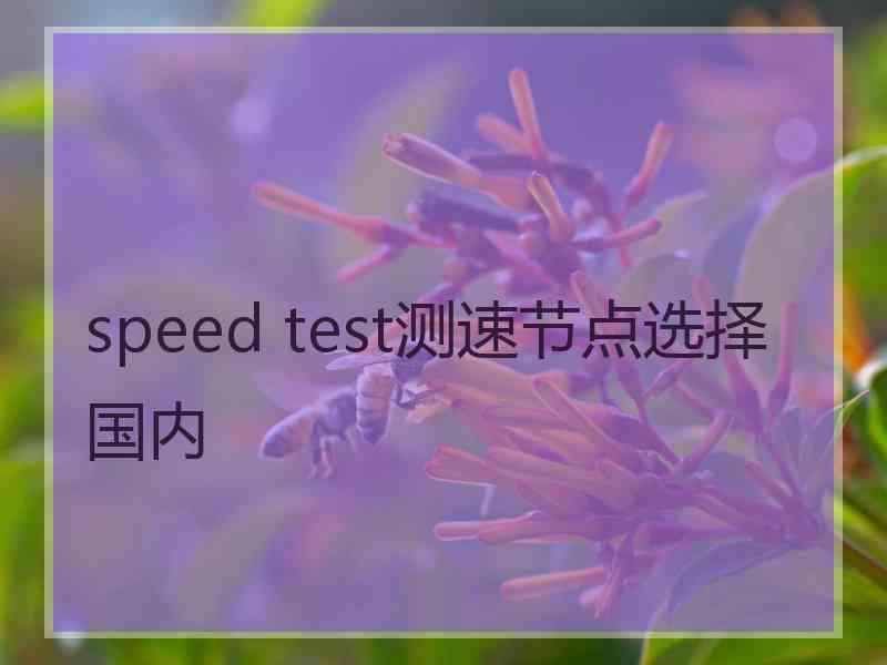 speed test测速节点选择国内